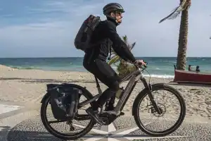 Accell vendu à Dutech Group : ce que le rachat de Lapierre, Haibike, Babboe et Raleigh change pour le marché du vélo
