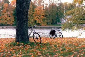 Préparer son vélo pour l&rsquo;automne et l&rsquo;hiver : la checklist en 7 points